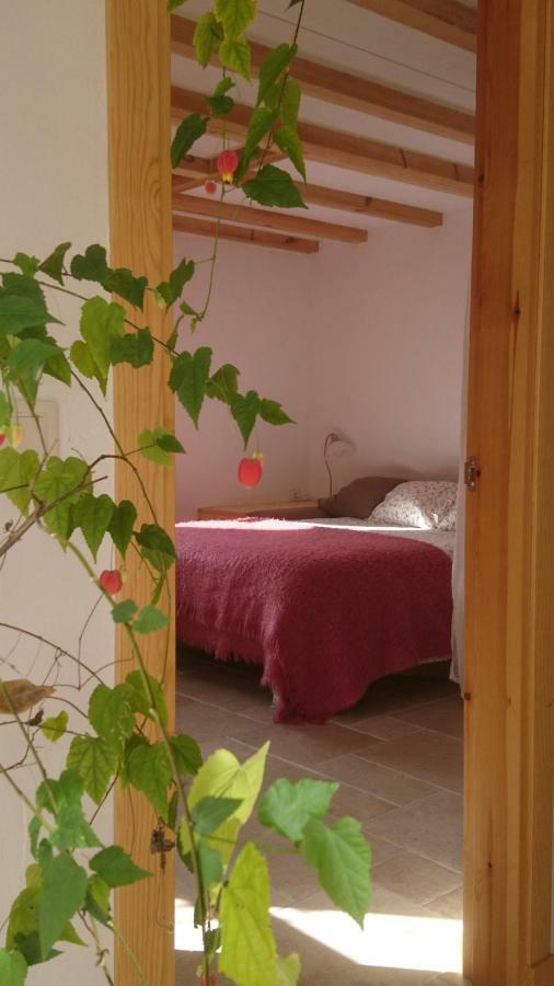 Appartement Casa Turreta à Ansó Extérieur photo