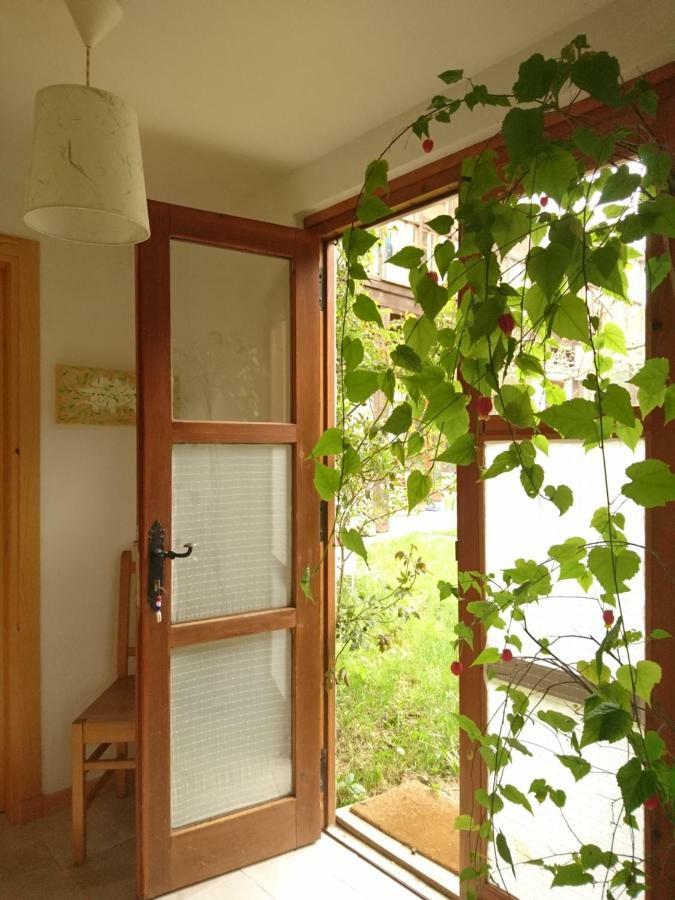 Appartement Casa Turreta à Ansó Extérieur photo